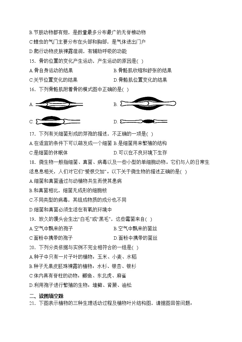 山东省菏泽市鄄城县2023-2024学年七年级上学期期末质量检测生物试卷(含答案)03