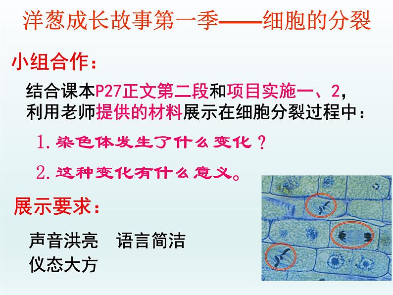 冀少版生物七年级上册 第二章 第一节 细胞的分裂和生长 课件07