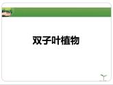 冀少版生物七年级上册 第三章 第六节 双子叶植物_课件