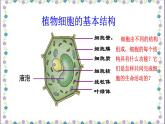 冀少版生物七年级上册 第二章 第一节 细胞的各部分功能课件
