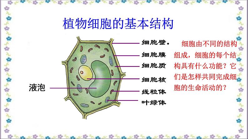 冀少版生物七年级上册 第二章 第一节 细胞的各部分功能课件02