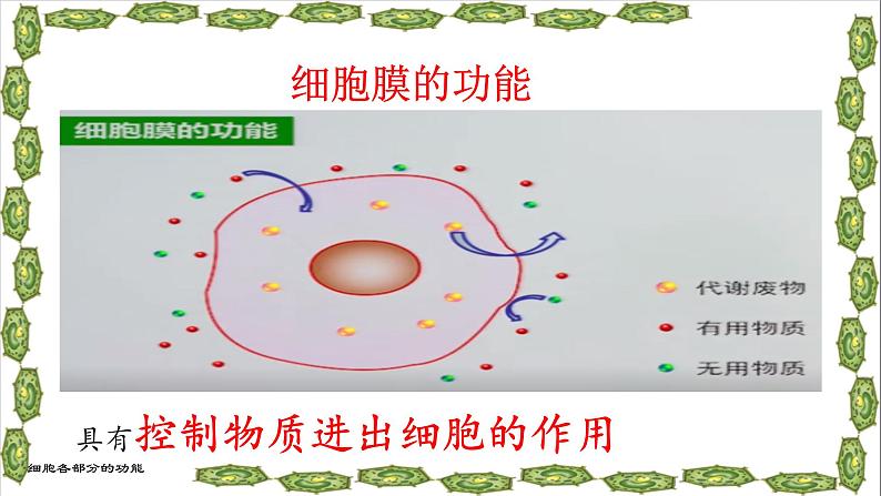 冀少版生物七年级上册 第二章 第一节 细胞的各部分功能课件08