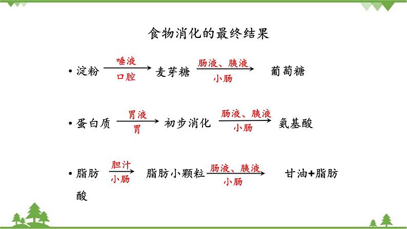 苏教版生物七年级下册 第九章 第二节 人体的消化与吸收 第二课时课件第7页