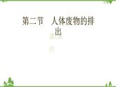 苏教版生物七年级下册 第十一章 第二节 人体废物的排出 第一课时课件