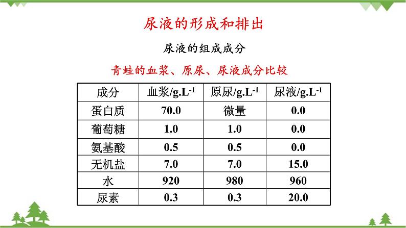 苏教版生物七年级下册 第十一章 第二节 人体废物的排出 第一课时课件04