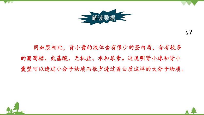 苏教版生物七年级下册 第十一章 第二节 人体废物的排出 第一课时课件06