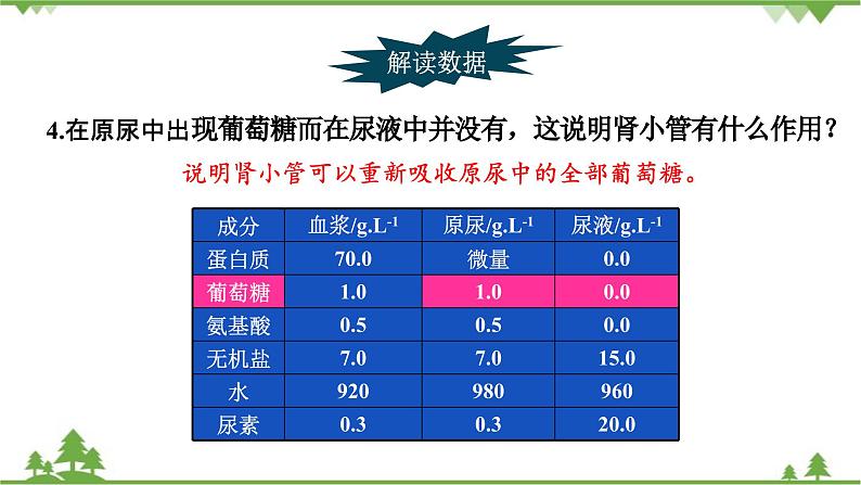 苏教版生物七年级下册 第十一章 第二节 人体废物的排出 第一课时课件07