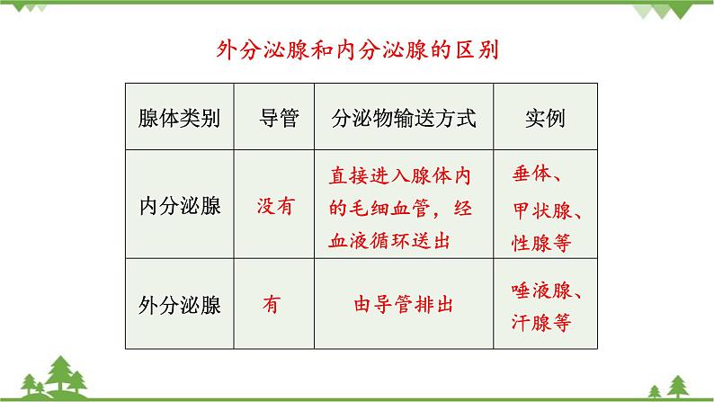 苏教版生物七年级下册 第十二章 第一节 人体的激素调节课件06