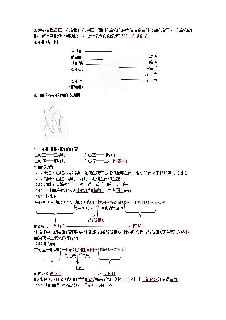 第十章 人体内的物质运输和能量供给-【必背知识】七年级生物必背知识清单（苏教版七下）03
