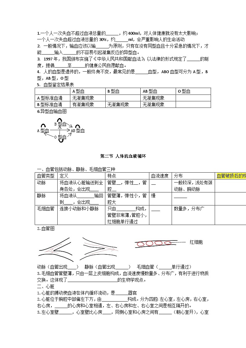 第十章 人体内的物质运输和能量供给-【必背知识】七年级生物必背知识清单（苏教版七下）02