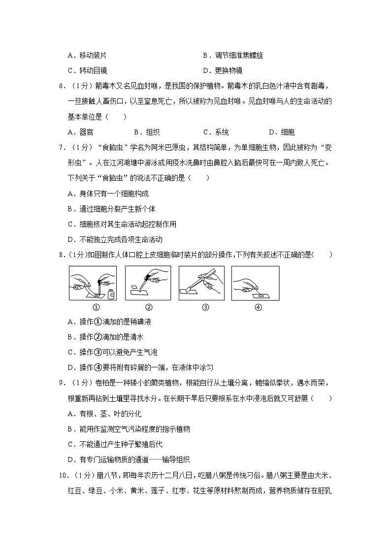 河南省驻马店市上蔡县2023-2024学年七年级上学期期末生物试卷02