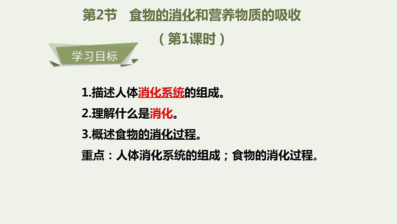 8.2++食物的消化和营养物质的吸收（第1课时）课件-2023-2024学年北师大版生物七年级下册02