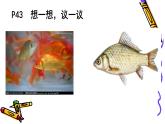 7.2.5++生物的变异++课件-2023-2024学年人教版生物八年级下册
