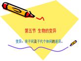 7.2.5++生物的变异++课件-2023-2024学年人教版生物八年级下册