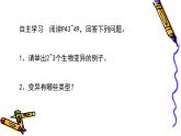 7.2.5++生物的变异++课件-2023-2024学年人教版生物八年级下册
