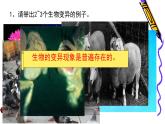 7.2.5++生物的变异++课件-2023-2024学年人教版生物八年级下册