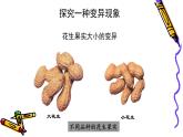 7.2.5++生物的变异++课件-2023-2024学年人教版生物八年级下册