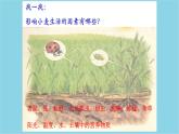 1.2.1++生物与环境的关系（第1课时）课件-2023-2024学年人教版生物七年级上册