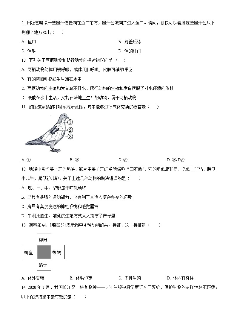精品解析：陕西省咸阳市永寿县豆家中学2021-2022学年八年级上学期期末生物试题（原卷版）第2页