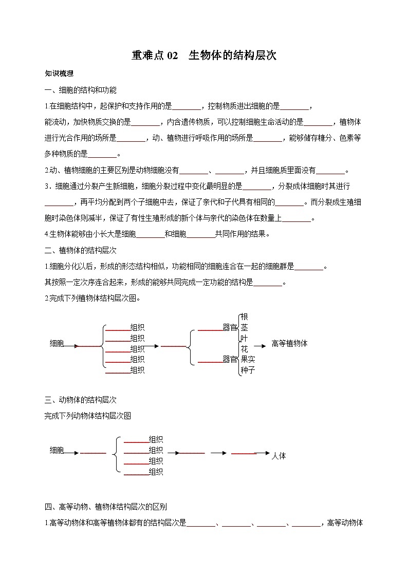 重难点02 生物体的结构层次-中考生物【·重点·难点】练习（附答案和解析）第1页