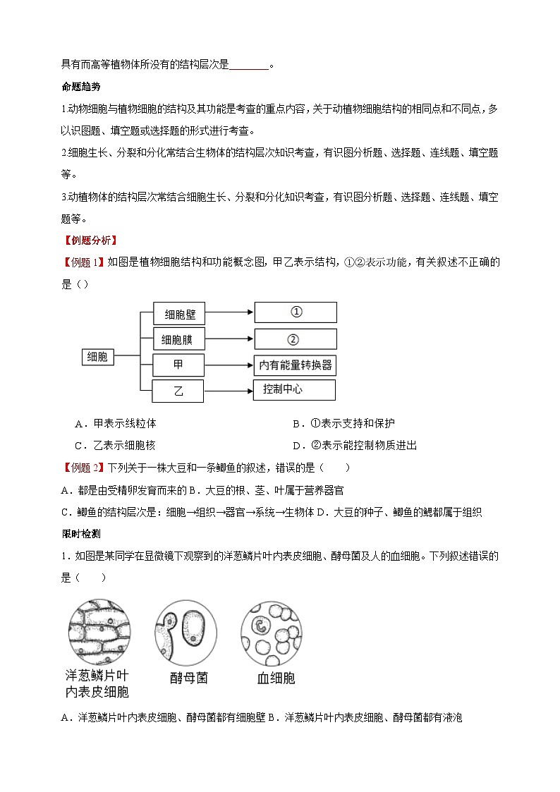 重难点02 生物体的结构层次-中考生物【·重点·难点】练习（附答案和解析）第2页
