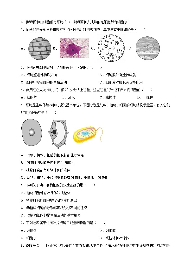 重难点02 生物体的结构层次-中考生物【·重点·难点】练习（附答案和解析）第3页