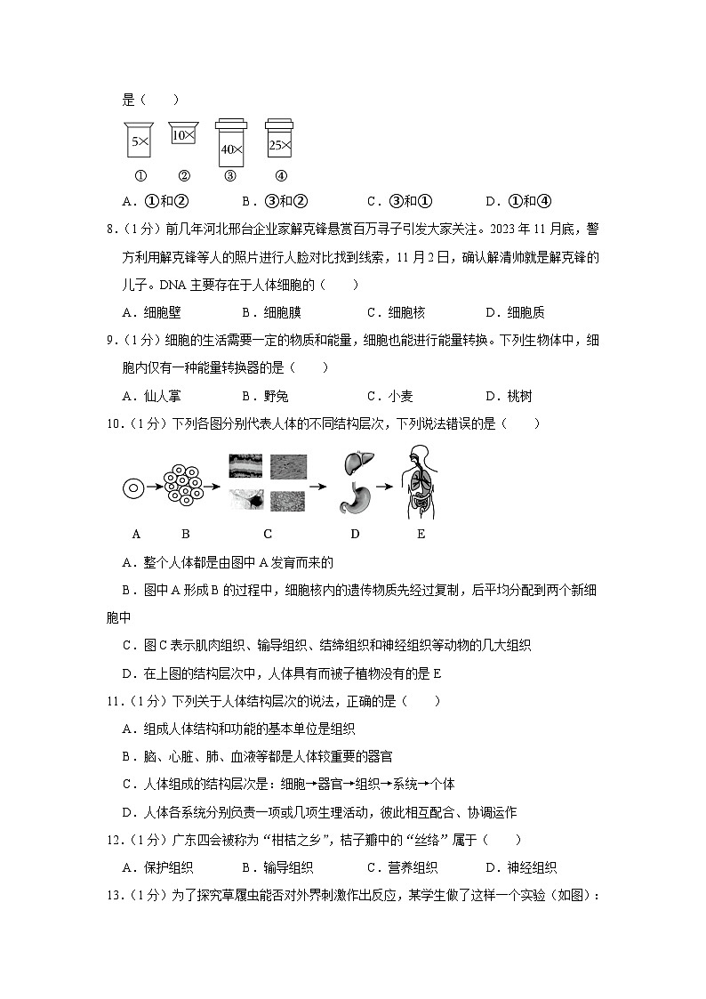 安徽省亳州市利辛县2023-2024学年七年级上学期期末生物试卷02