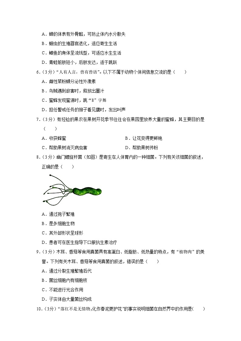 四川省泸州市泸县2023-2024学年八年级上学期期末生物试卷02