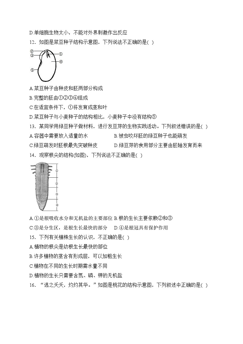 江西省赣州市大余县2023-2024学年七年级上学期期末检测生物试卷(含答案)第3页