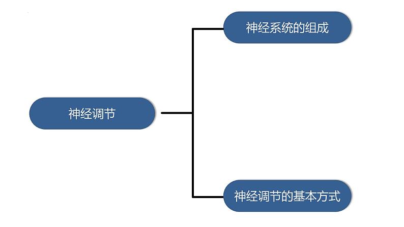 2.1.2 神经调节的基本方式-2023-2024学年八年级生命科学同步课堂（沪教版第一册）课件02