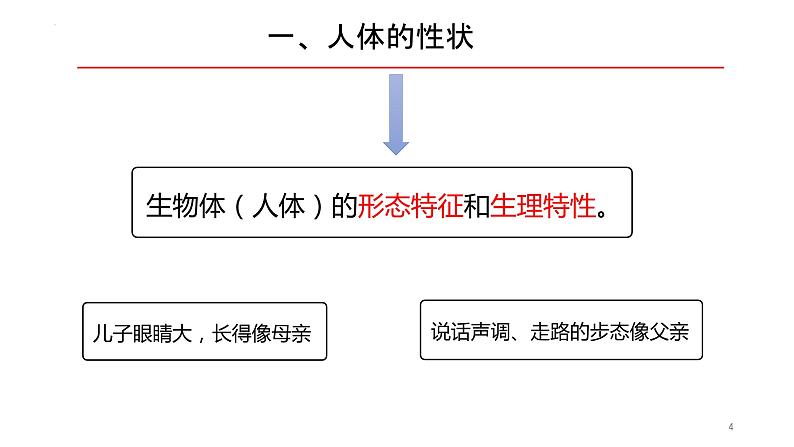 2.3 基因与人体性状-2023-2024学年八年级生命科学同步课堂（沪教版第一册）课件第4页