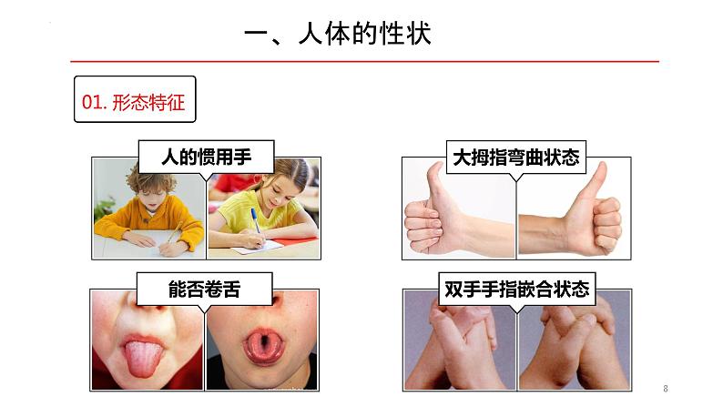 2.3 基因与人体性状-2023-2024学年八年级生命科学同步课堂（沪教版第一册）课件第8页