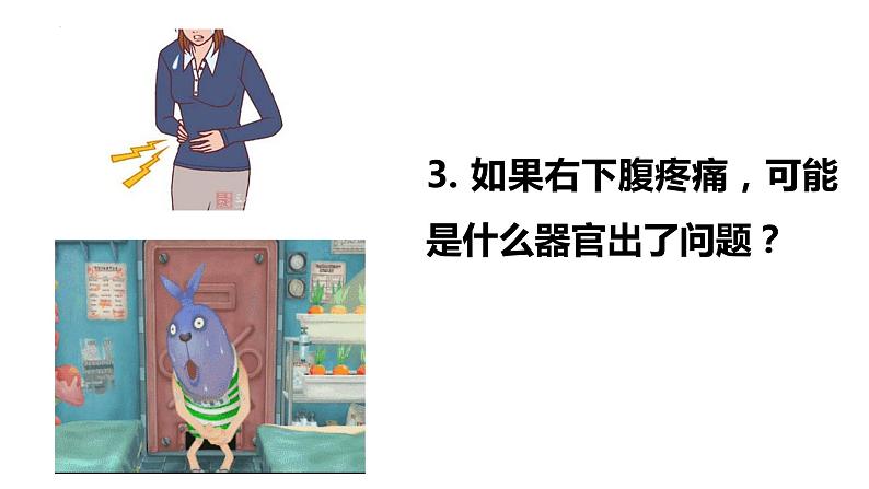 1.1.3 器官之间有联系吗-2023-2024学年八年级生命科学同步课堂（沪教版第一册）课件07