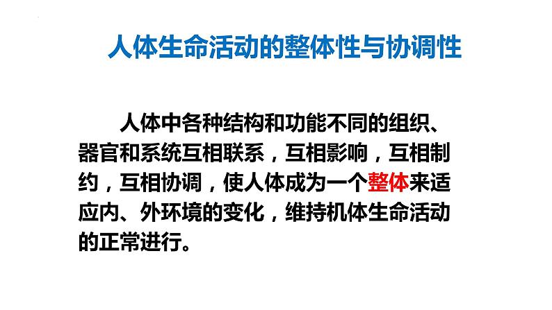 1.1.4人体的结构层次-2023-2024学年八年级生命科学同步课堂（沪教版第一册）课件第6页