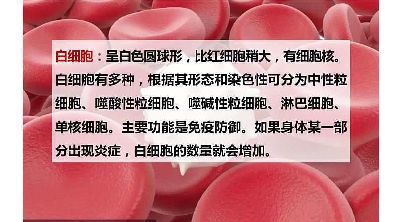 1.2.2 什么是人体的内环境-2023-2024学年八年级生命科学同步课堂（沪教版第一册）课件08