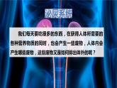 1.2.3 人体是如何维持内环境稳定的（第二课时）-2023-2024学年八年级生命科学同步课堂（沪教版第一册）课件