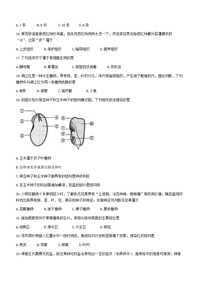 云南省昆明市寻甸县2023-2024学年七年级上学期期末生物试卷03