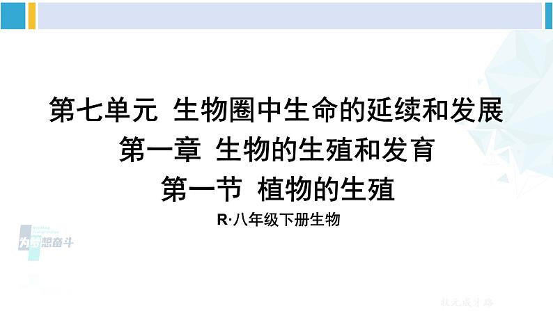 人教版八年级生物下册 第七单元 生物圈中生命的延续和发展 第一节 植物的生殖（课件）第1页