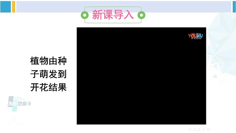 人教版八年级生物下册 第七单元 生物圈中生命的延续和发展 第一节 植物的生殖（课件）第2页