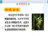 人教版八年级生物下册 第七单元 生物圈中生命的延续和发展 第一节 植物的生殖（课件）