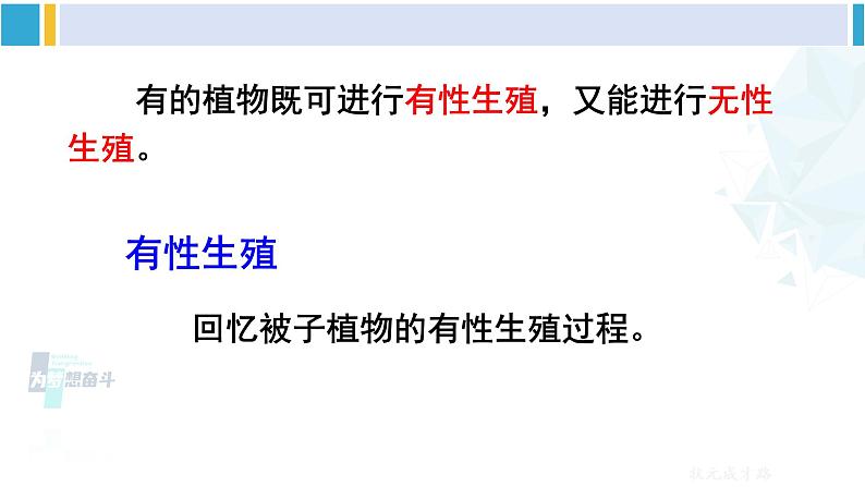 人教版八年级生物下册 第七单元 生物圈中生命的延续和发展 第一节 植物的生殖（课件）第4页