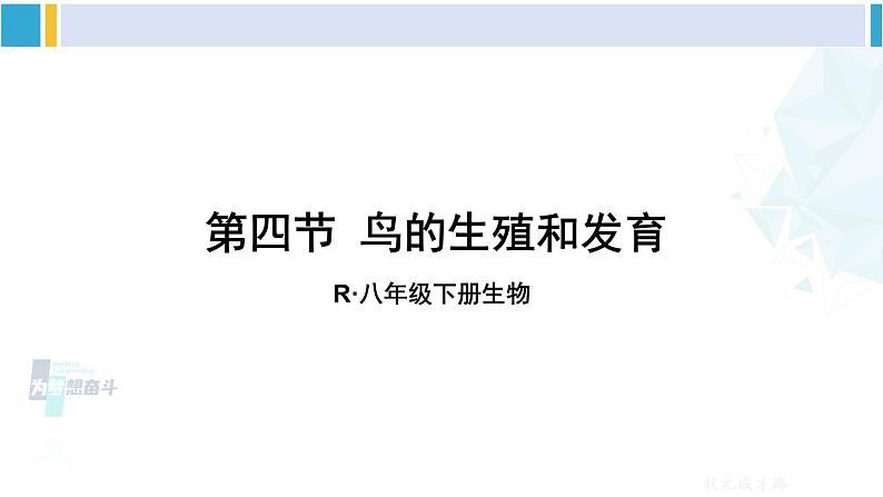 人教版八年级生物下册 第七单元 生物圈中生命的延续和发展 第四节 鸟的生殖和发育（课件）01