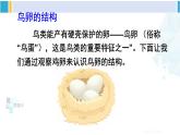 人教版八年级生物下册 第七单元 生物圈中生命的延续和发展 第四节 鸟的生殖和发育（课件）