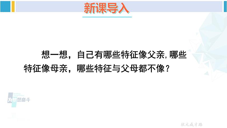 人教版八年级生物下册 第七单元 生物圈中生命的延续和发展 第一节 基因控制生物的性状（课件）第2页