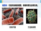 人教版八年级生物下册 第八单元 健康地生活第一节 传染病及其预防（课件）