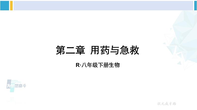 人教版八年级生物下册 第八单元 健康地生活第二章 用药与急救（课件）01