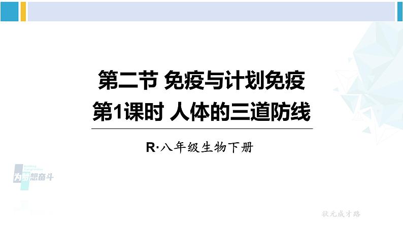 人教版八年级生物下册 第八单元 健康地生活第一课时 人体的三道防线（课件）01