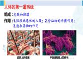 人教版八年级生物下册 第八单元 健康地生活第一课时 人体的三道防线（课件）