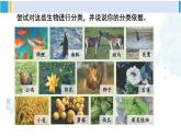 北師大版八年級(jí)生物下冊(cè) 第7單元 生命的演化 第1節(jié) 生物的分類（課件）