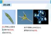 北师大版八年级生物下册 第7单元 生命的演化 章末复习（课件）
